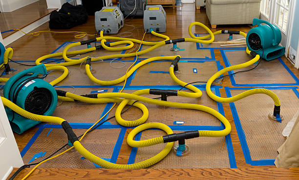 Professional Sewage Cleanup technician working in Bremen, IN